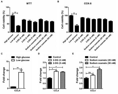 CCL4 participates in the reprogramming of glucose metabolism induced by ALV-J infection in chicken macrophages